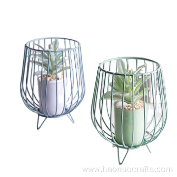 Nordic living room simulation green plant decorations